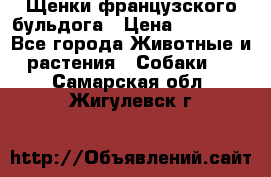 Щенки французского бульдога › Цена ­ 30 000 - Все города Животные и растения » Собаки   . Самарская обл.,Жигулевск г.